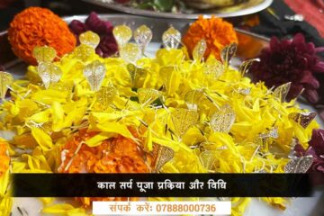 काल सर्प पूजा प्रक्रिया और विधि