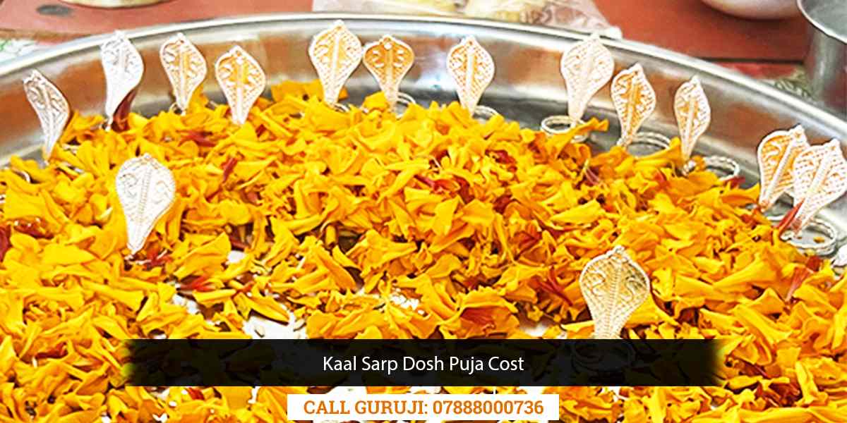 Kaal Sarp Dosh Puja Cost