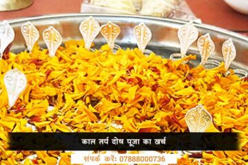काल सर्प दोष पूजा का खर्च