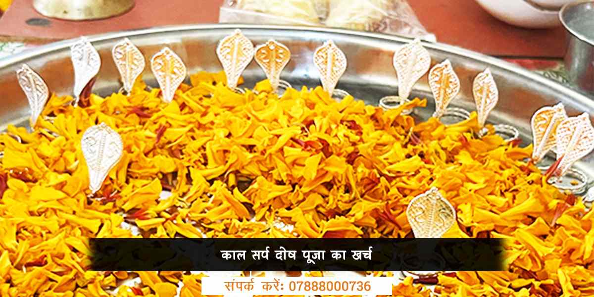 काल सर्प दोष पूजा का खर्च